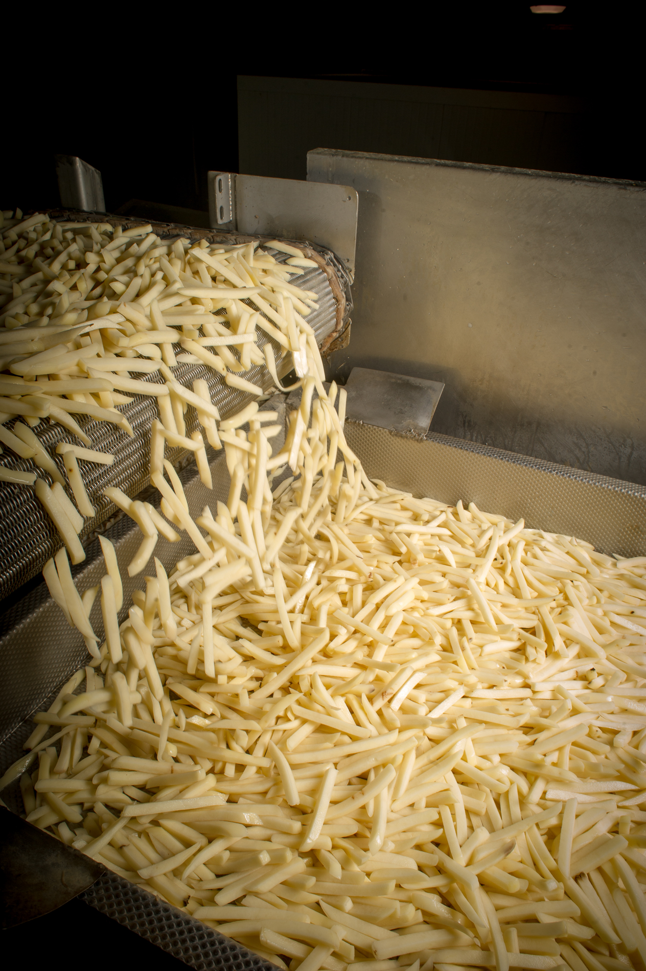 Fries entering blancher. Production shots.